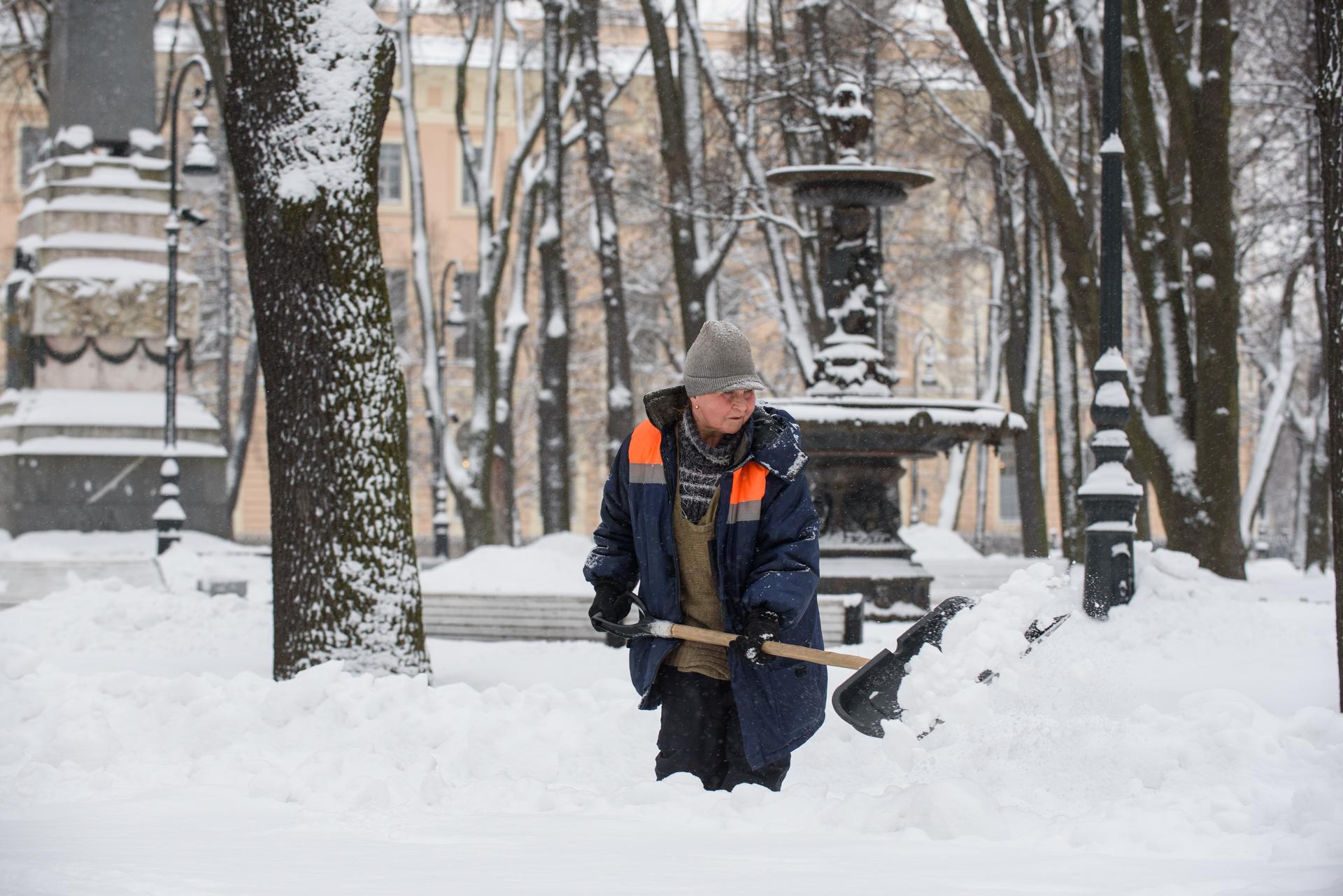 Работа в санкт петербурге для мужчин дворником. Дворник. Елки дворник. Дворник в Москве. Дворник зимой.