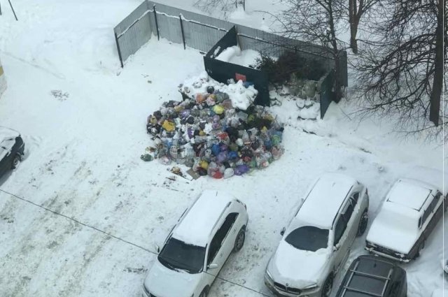 Прокуратура Владимира выявила массовые нарушения при вывозе мусора
